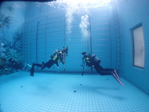 東京のダイビングスクールBeyondのスタッフスキルトレーニングを実施